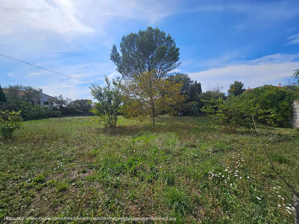 Aed - Buildable Plot with Garden in Lorgues