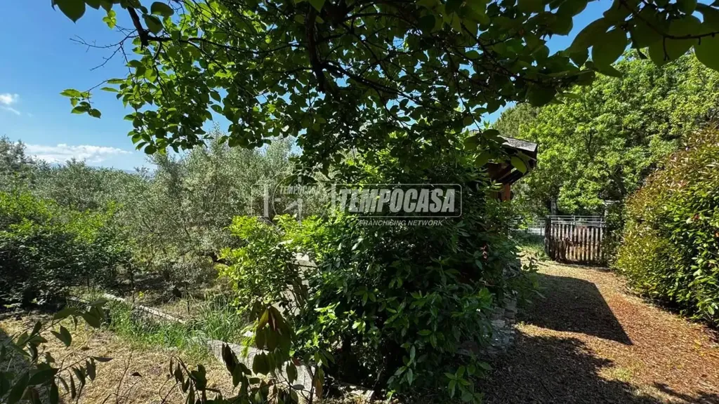 Jardin - Terraced Villa with Garden in Chieti
