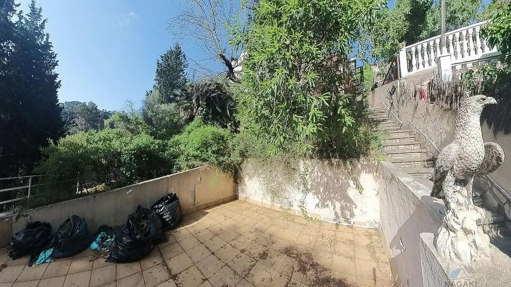terrace_patio