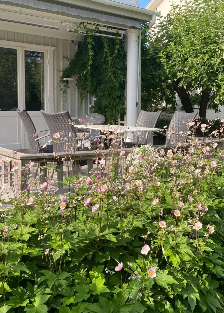 6-toaline maja asukohas Uppsala kommun