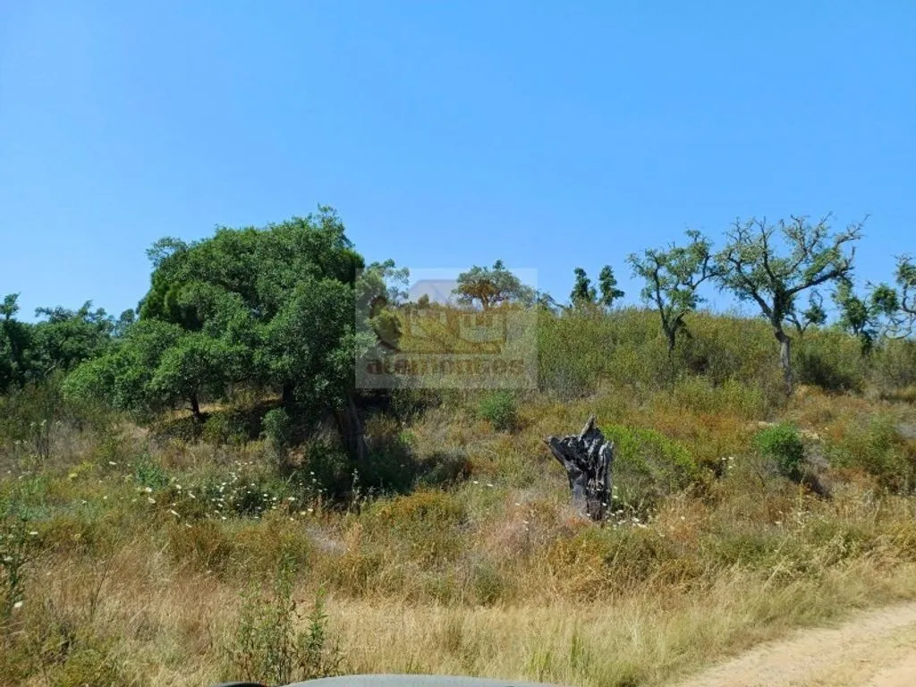 Garden - Development Land with Mountain Views in Grândola