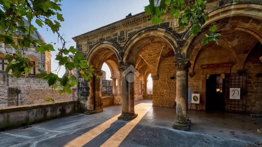 Aed - Rustic House with Olive Grove in Carovigno
