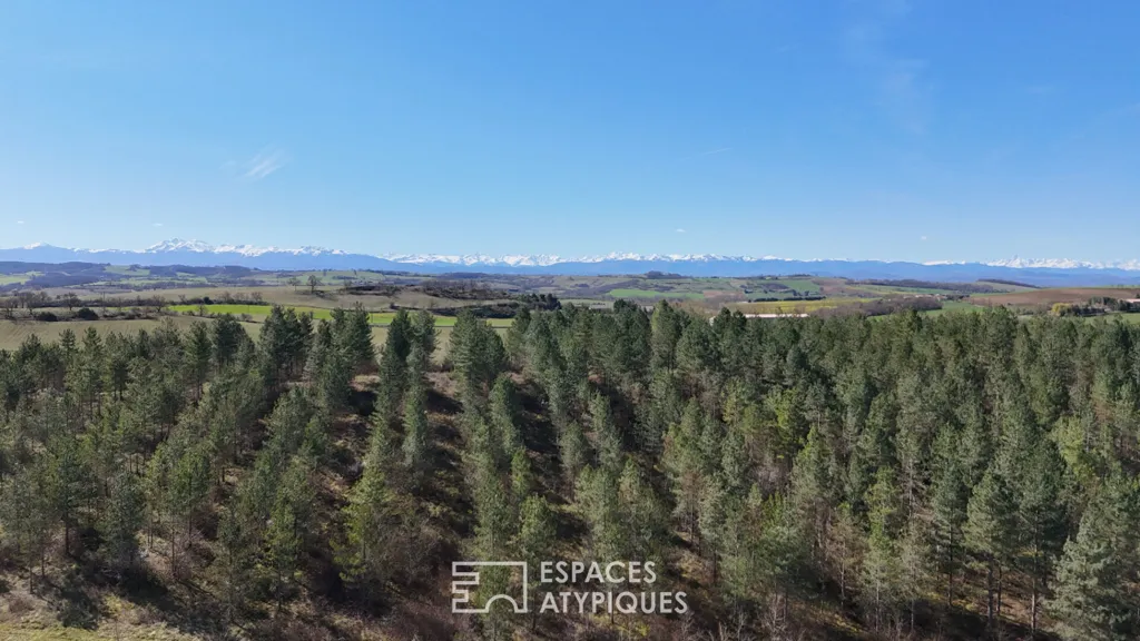Atypical Forest Domain with Renovation Potential in Belpech