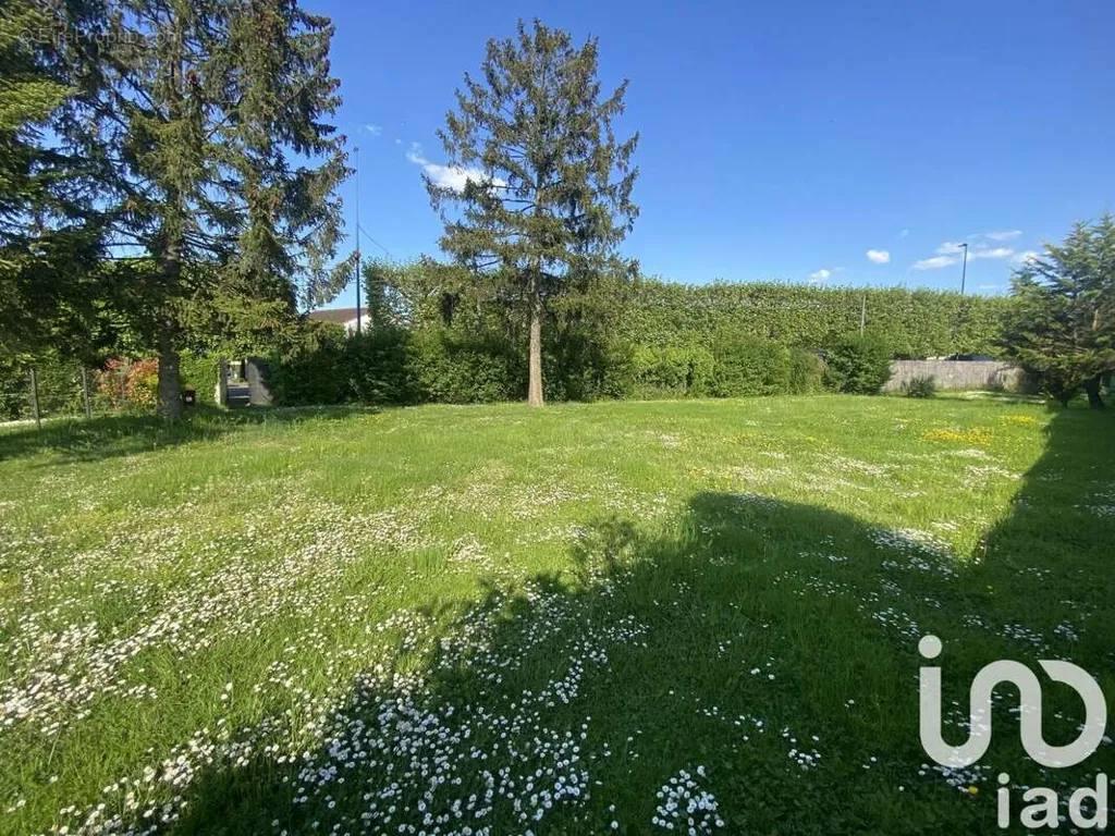 Jardin - Terrain à Bâtir dans le Secteur Chantereine à Chelles