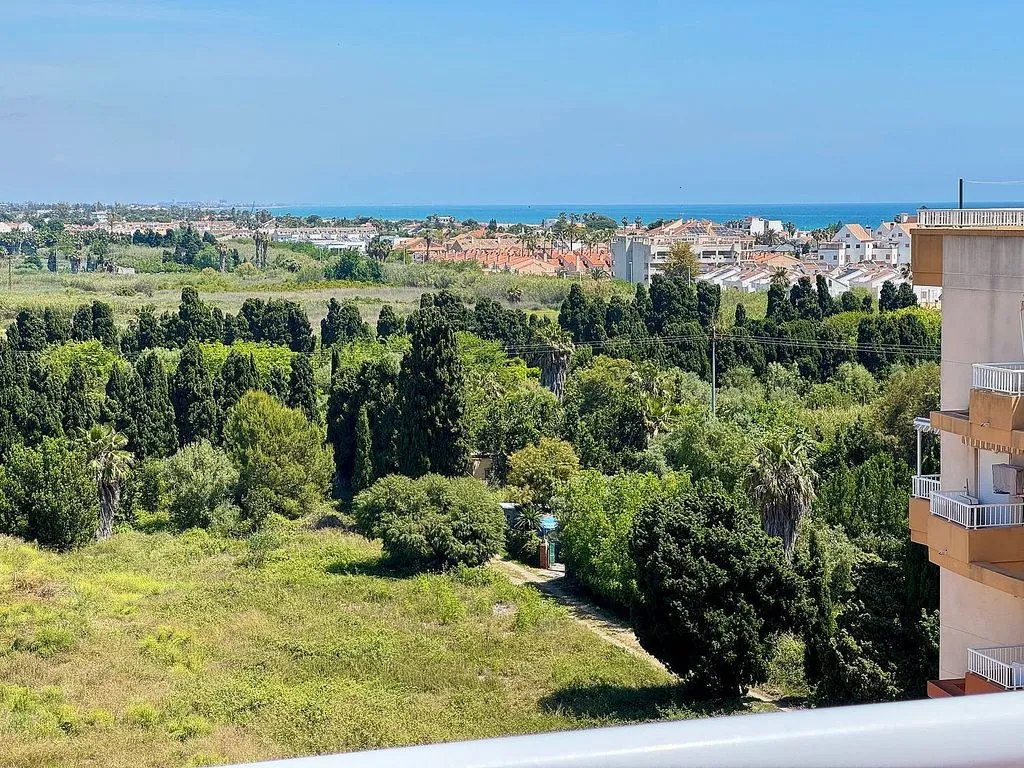 Balcon - Penthouse with Pool in Calle Cañas y Barro