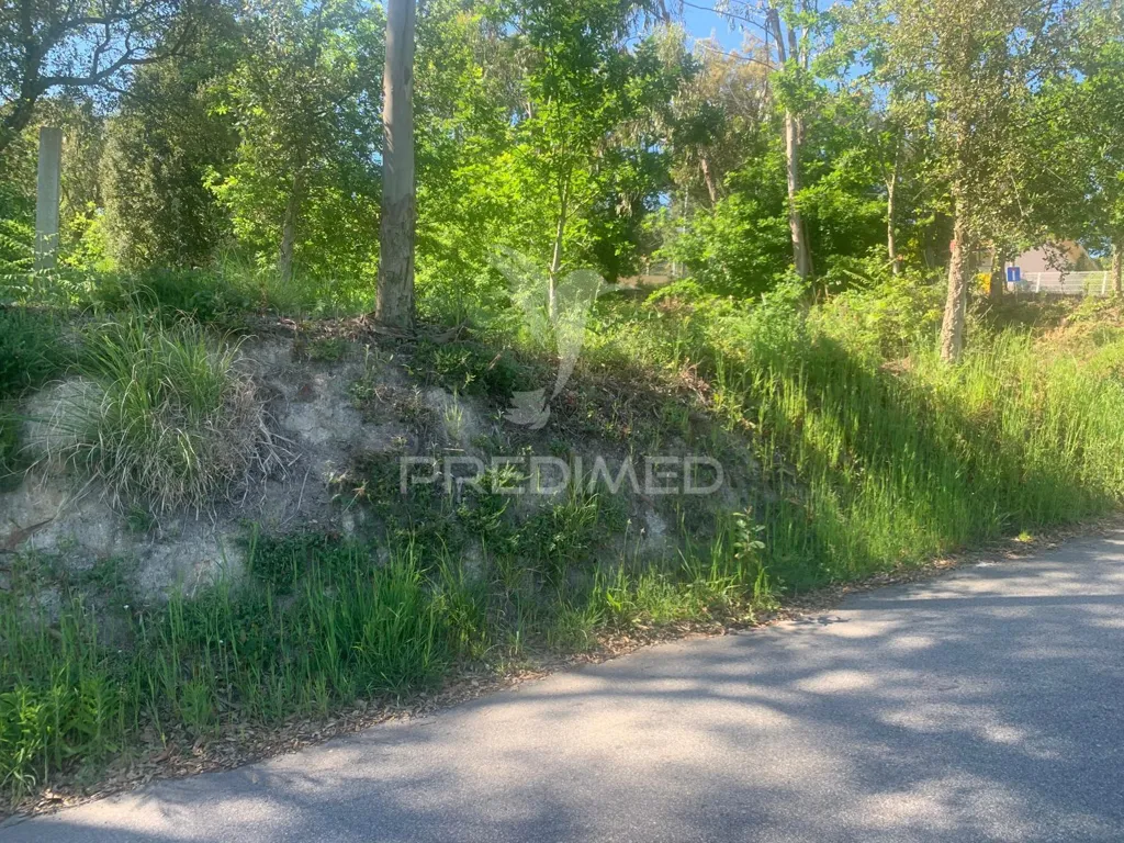 Aed - Development Land with Solar Exposure in Madalena