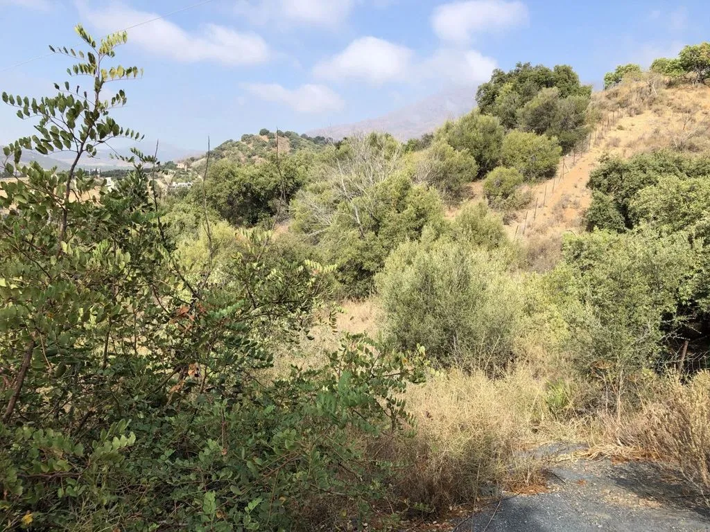 Jardin - Rustic Plot with Fruit Trees in Estepona