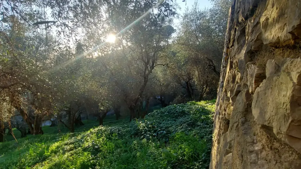 Jardin - Panoramic Villa with Lake and Sea View in Massarosa