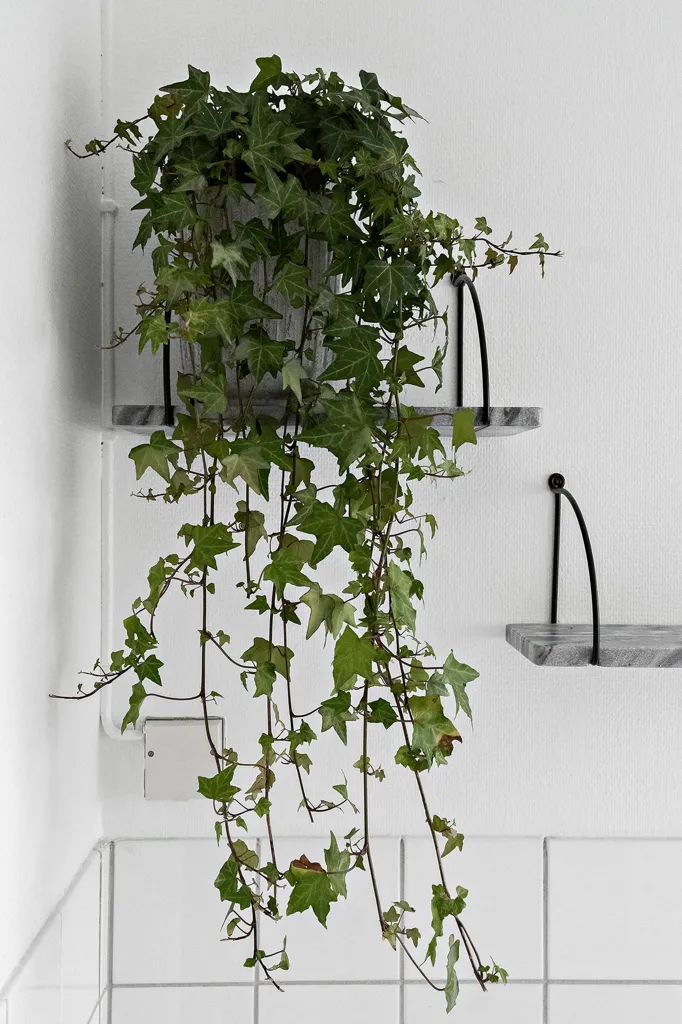 Vannitoad - Stylish Apartment with Balcony in Skärholmen