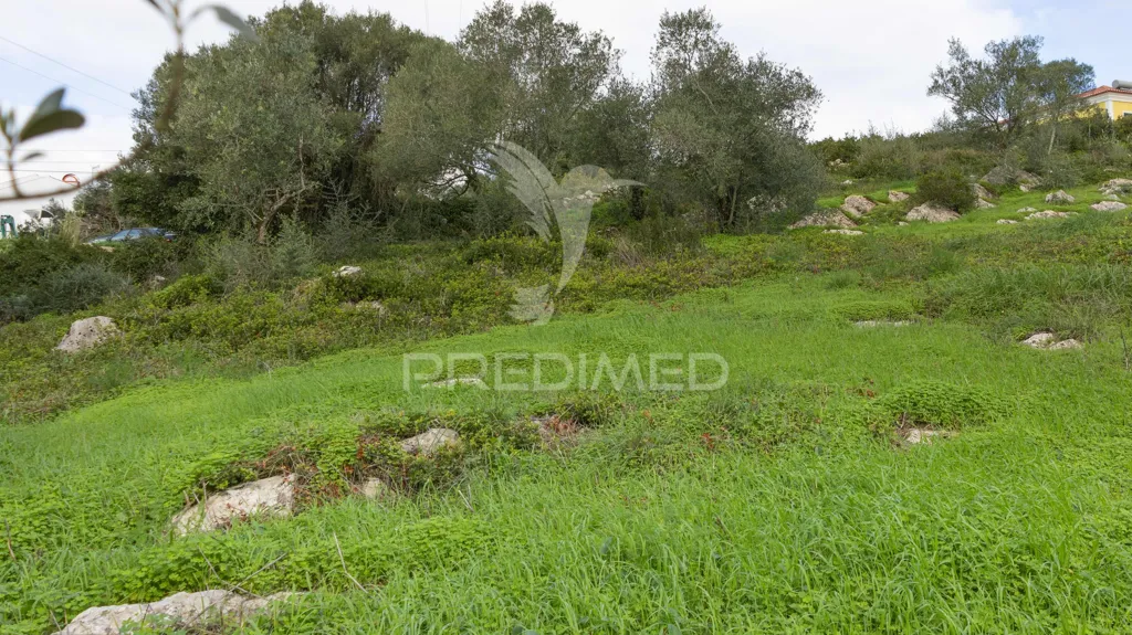 Jardin - Land for Development in Manique de Cima, Sintra