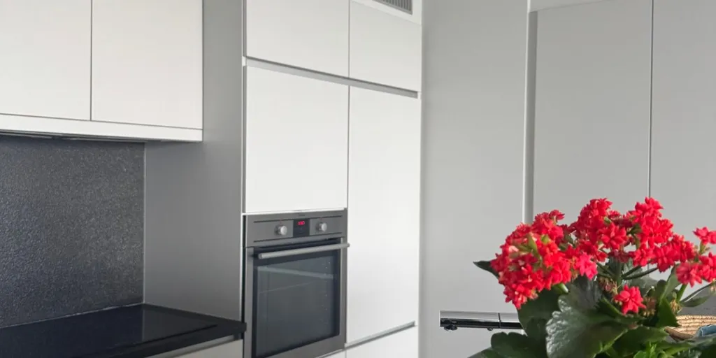 Cuisine - Appartement Instapklaar avec Terrasse à Poperinge