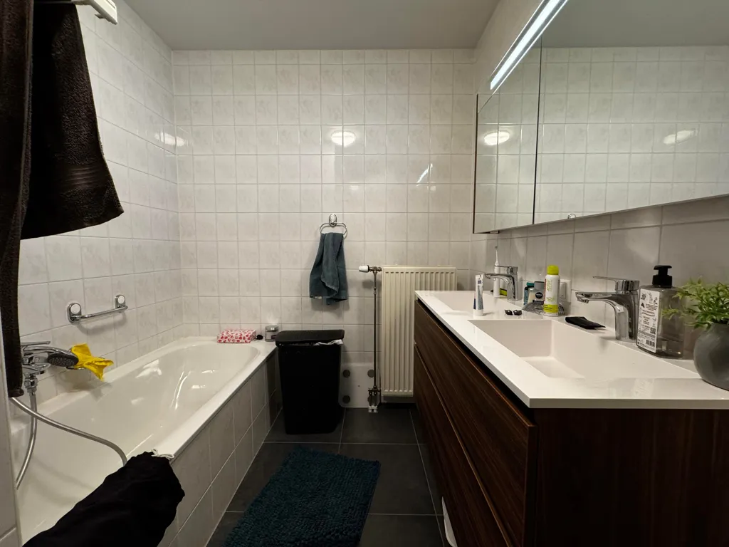 Vannitoad - 3-Bedroom Apartment in Eindhoven's Green Area