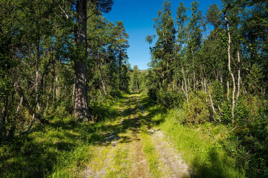 Aed - Exclusive Plot in Fjäll Environment, Bruksvallarna