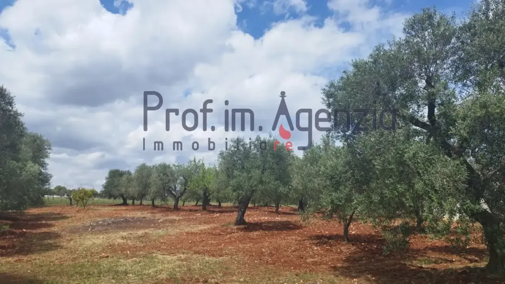 Aed - Rustic Property with Olive Grove in Carovigno