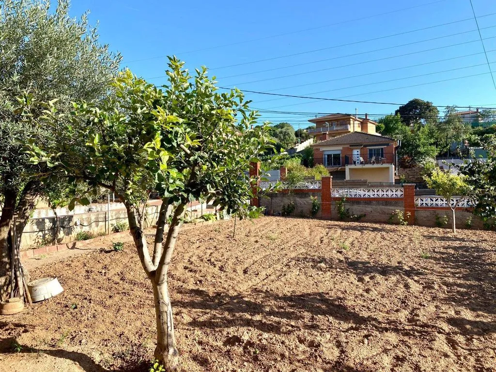 Garten - Luxury House with Four-Winds Design in Castellbisbal