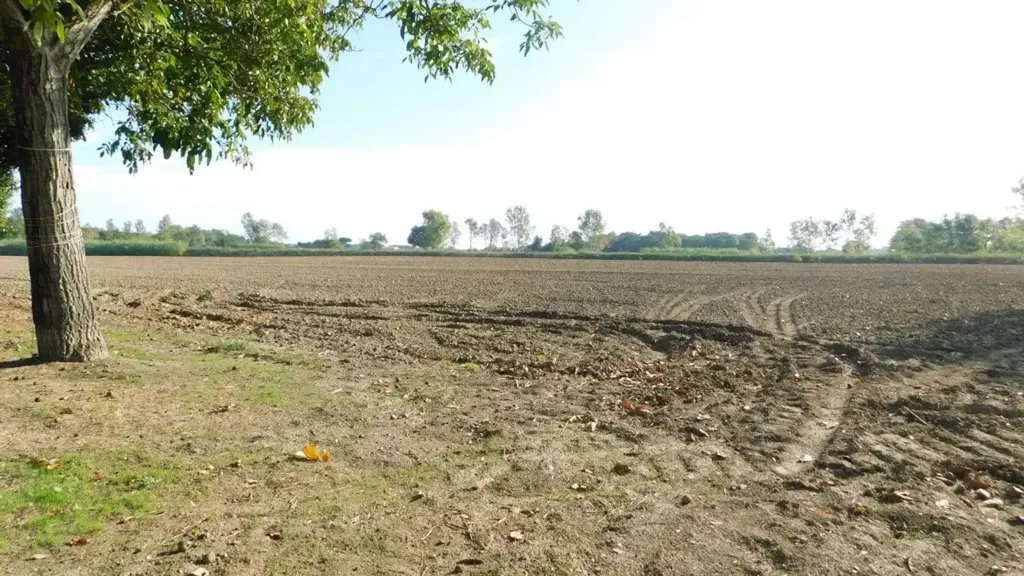Aed - Villa to Renovate with Garden in Matelica, Cesena