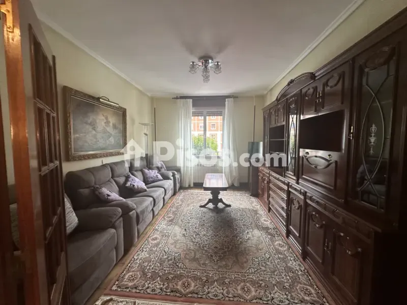 Elutuba - Spacious Student Flat with Metro Access in San Ignacio