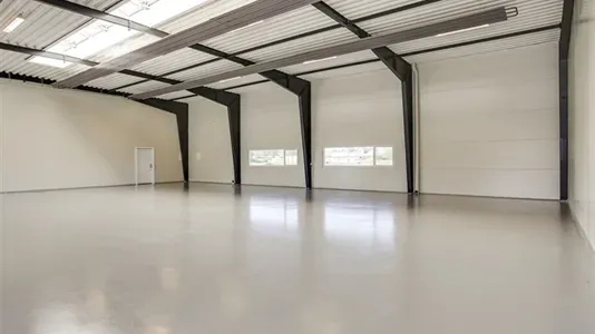 Toad - Commercial Space for Rent in Hobro