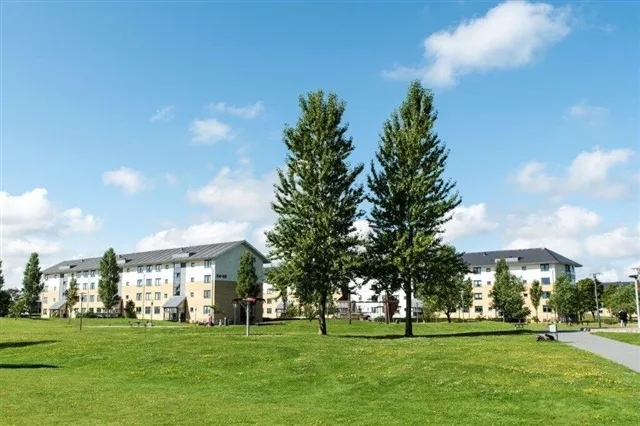 Garden - 4-Bedroom Flat with Pets Allowed in Frederikshavn