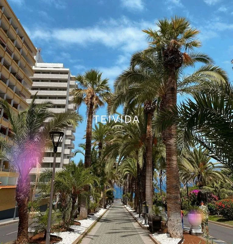 Furnished Flat with Terrace in Botanical District