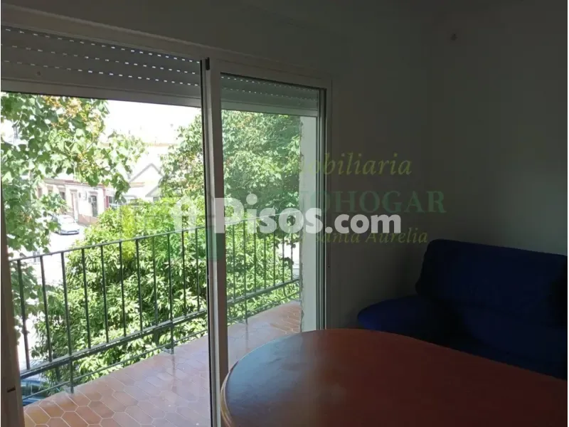 Terrass - Fully Renovated Flat with Terrace in Cerro del Águila