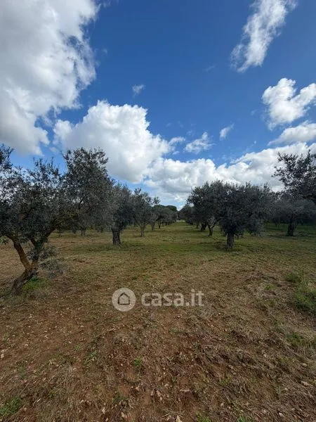 Giardino - Rustic Villa with Olive Grove in Caltagirone