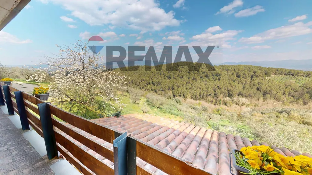 terrace_patio