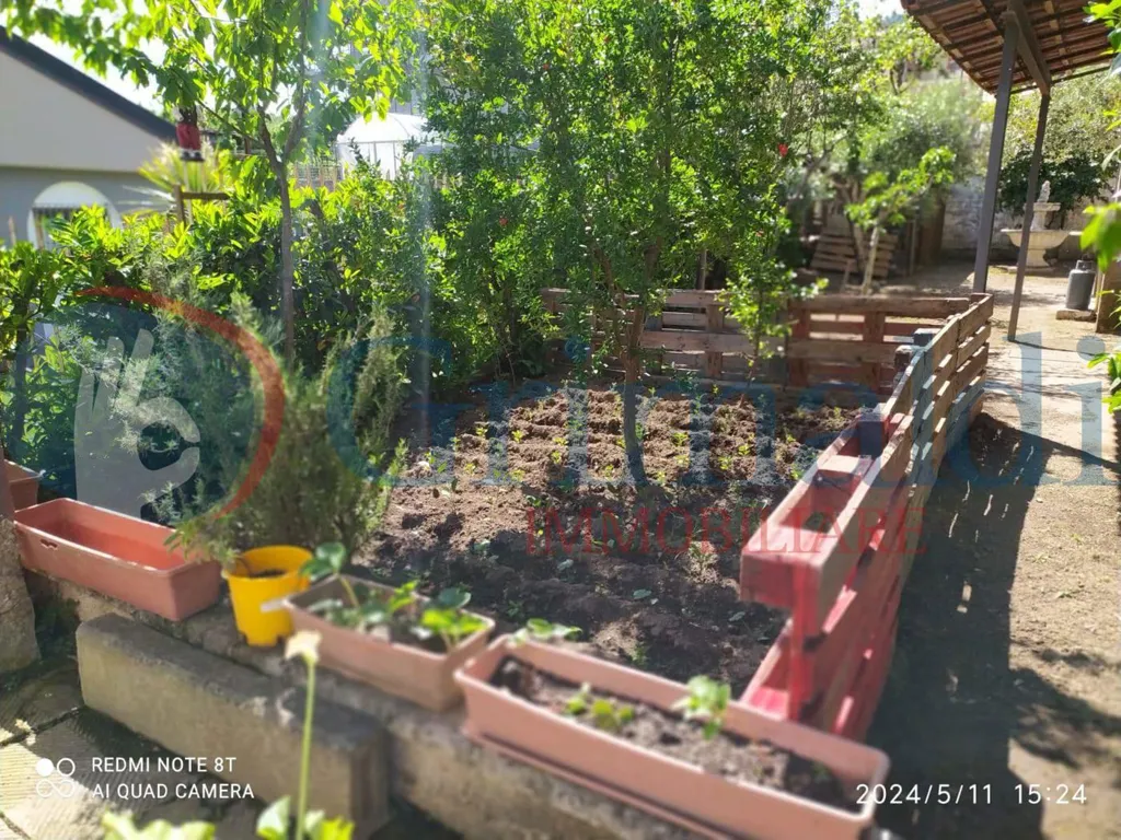 Jardin - Villa with Garden in Montefredane