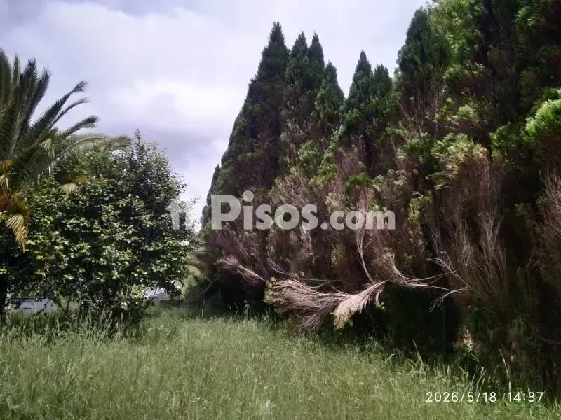 Jardín - Casa rural con jardín en Cedeira, A Coruña