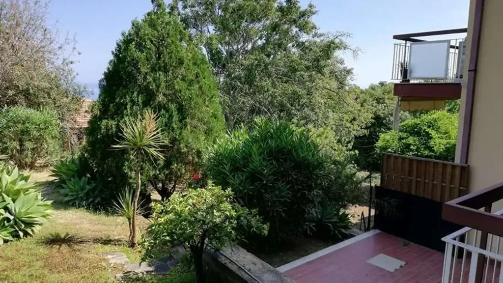 garden