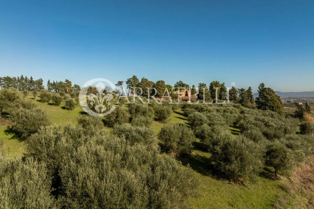 Aed - Rustic Casale with Pool in Castiglione del Lago