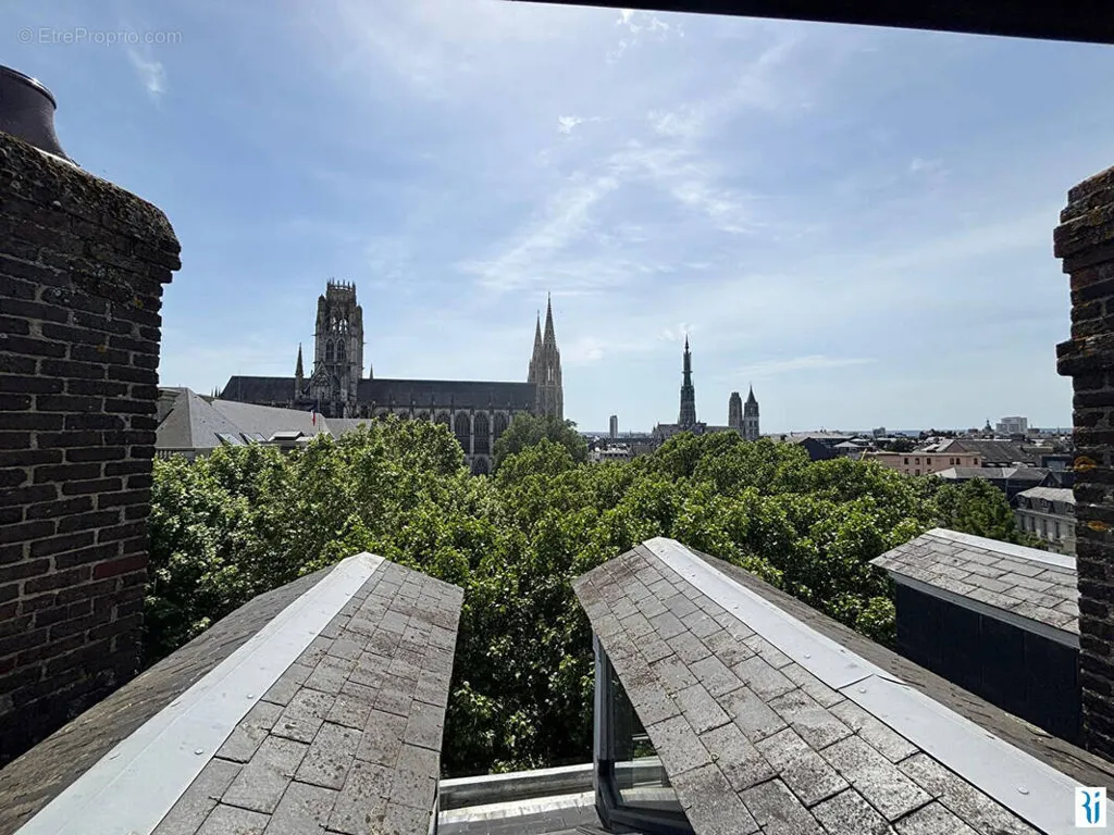 Toad - Atypical Flat with South-Facing View in Rouen