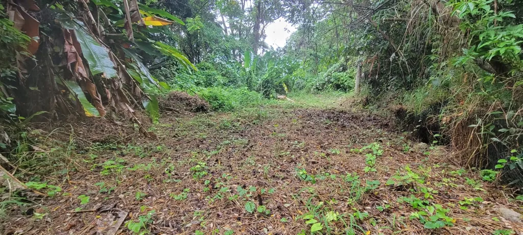 Aed - Buildable Land with Residential Potential in Petit-Bourg