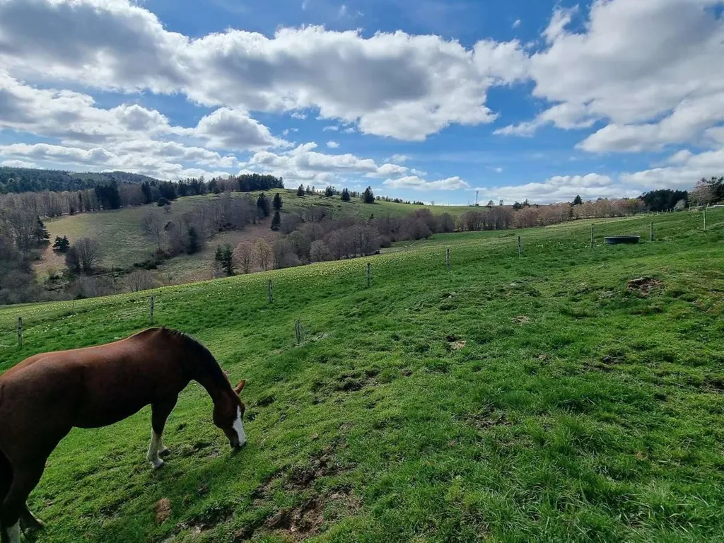 Garden - Equestrian Property with 16 Hectares in Ardèche