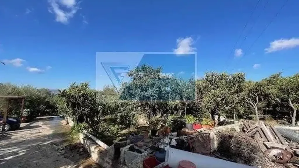 Jardin - Rustic Villa with Orchard in Siracusa