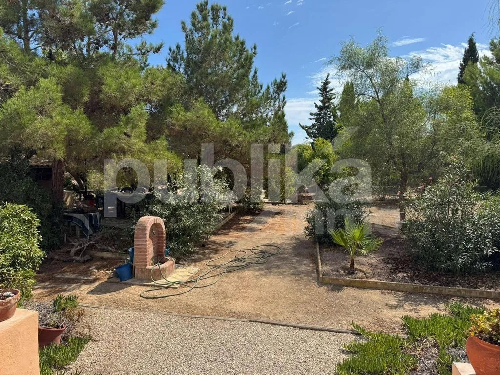 Jardin - Luxury House with Pool in Perleta, Elche