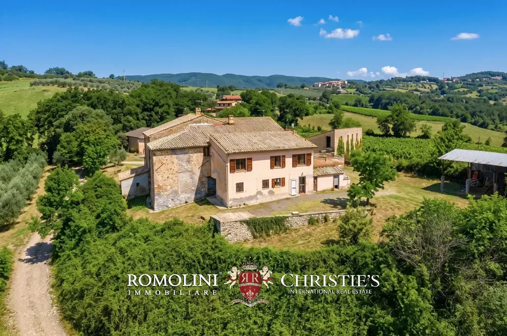 Õhuvaade - Rustic Casale with Vineyard near Orvieto