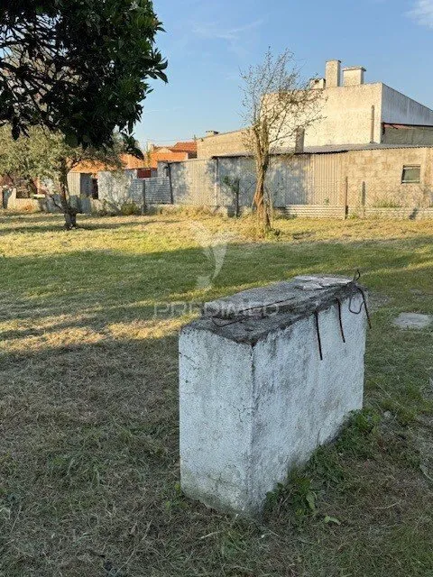 Jardin - Detached House with Fruit Trees in Água Derramada
