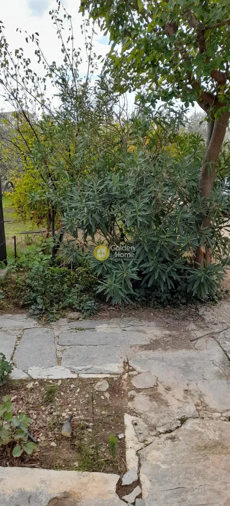 Jardin - Modern Villa with Garden in Menidi, Athens
