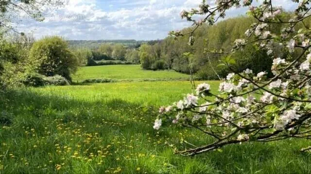 Jardin - Maison Normande avec Jardin dans le Pays d’Auge