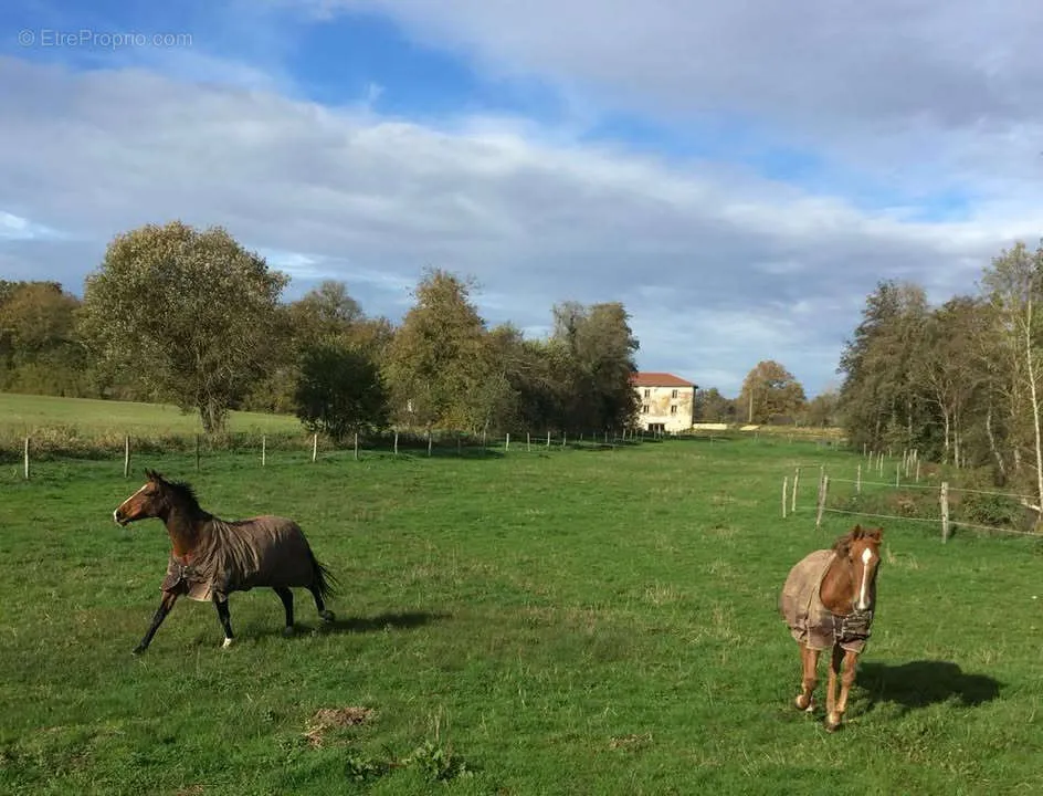 Jardin - Ancien Moulin avec Jardin entre Lyon et Genève