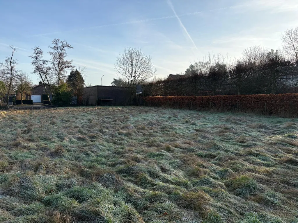Jardin - Parcelle de Construction avec Permis d'Urbanisme à Kalmthout