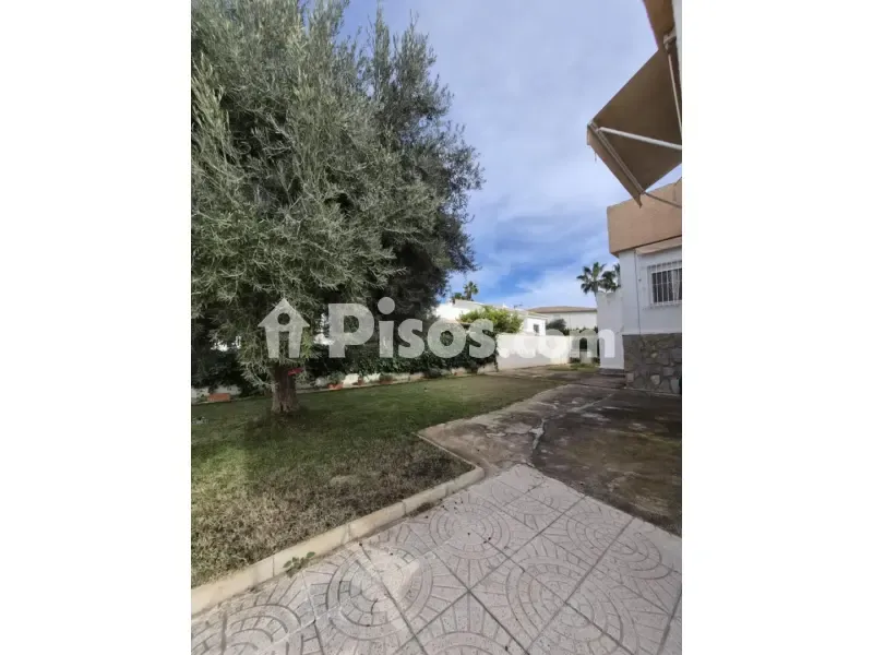 Giardino - Chalet with Garden in El Chaparral, Torrevieja