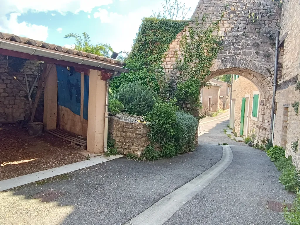 Garden - Rustic Village House with Garden in Monieux