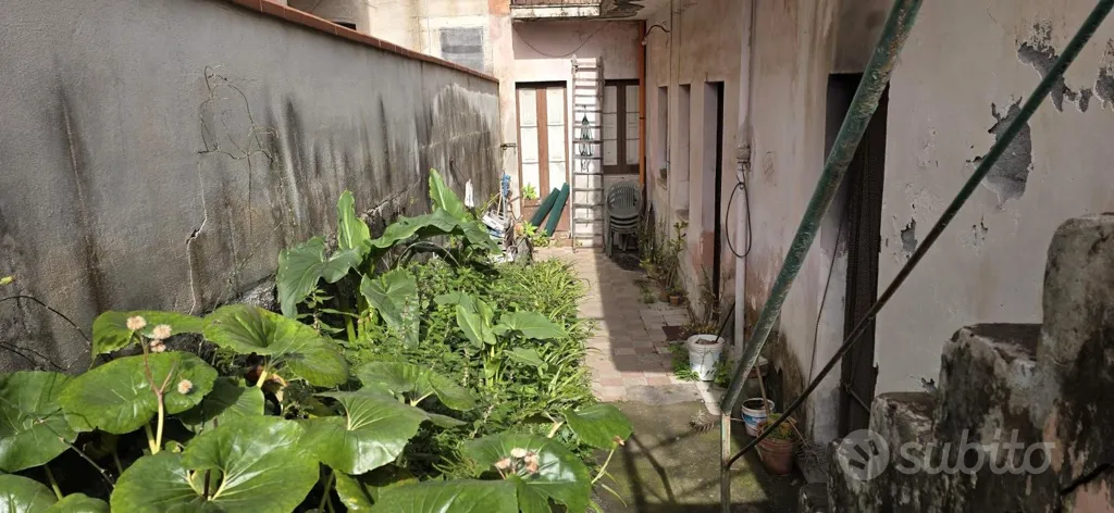 Jardin - Two-Storey House with Garden in Fiumefreddo