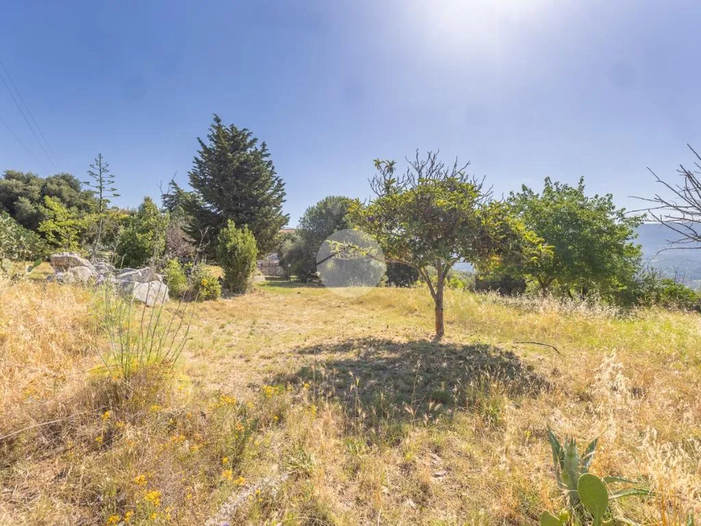 Jardin - Versatile Villa with Olive Grove in Guidonia Montecelio
