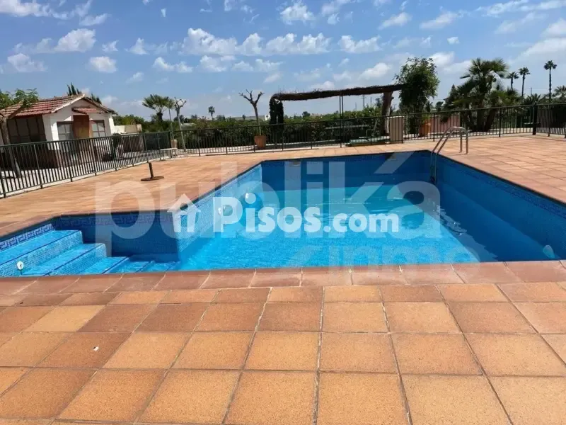 Piscine - Historic Villa with Archaeological Setting in Elche
