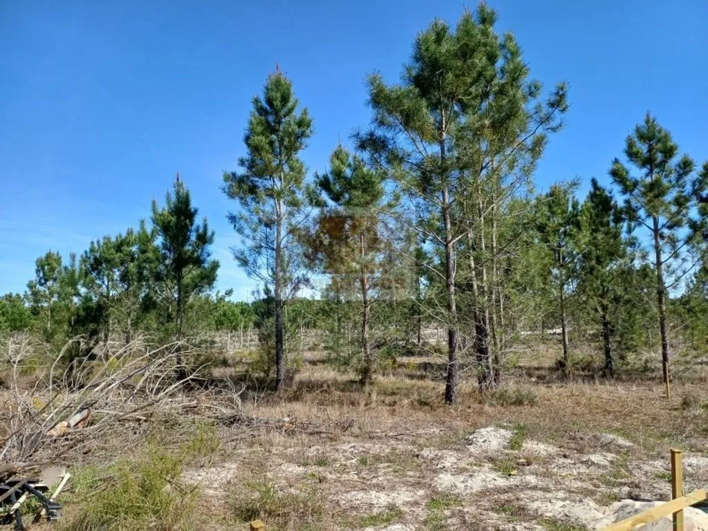 Jardin - Buildable Land with Pool Potential in Grândola