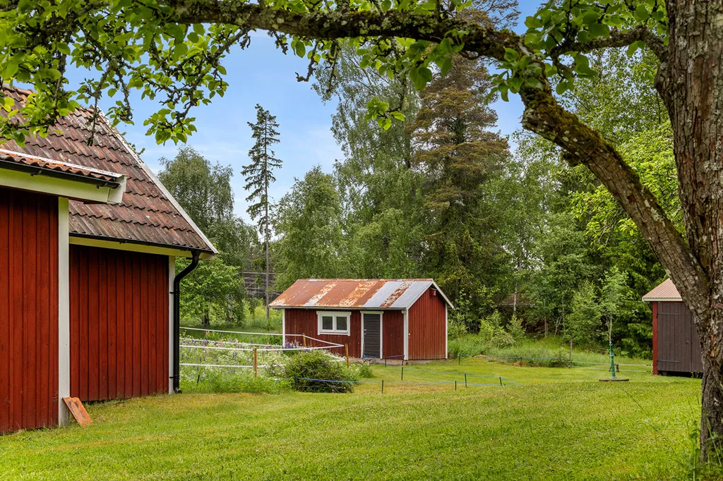 Garden - Complete Horse Farm with Residence in Rural Area