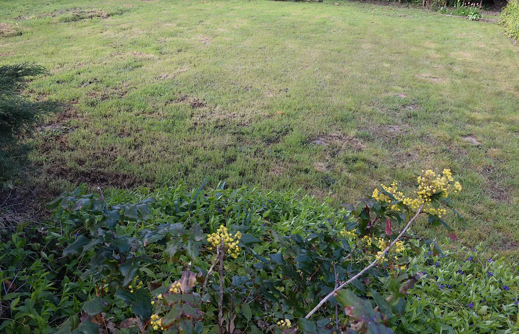 Jardin - Terrain Constructible avec Piscine à Chambœuf